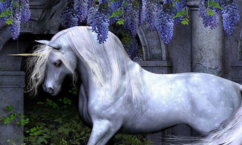 Unicorn Wallpapers