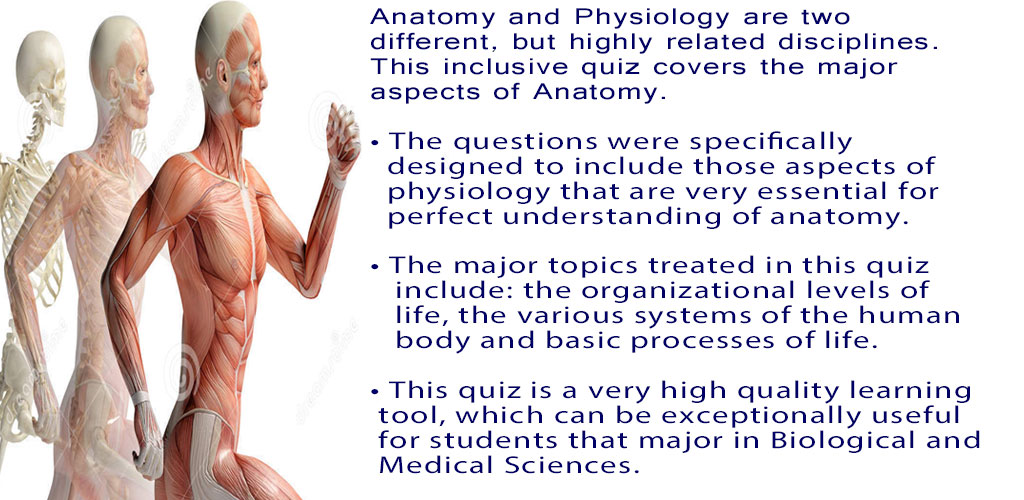 Anatomy & Physiology Quiz