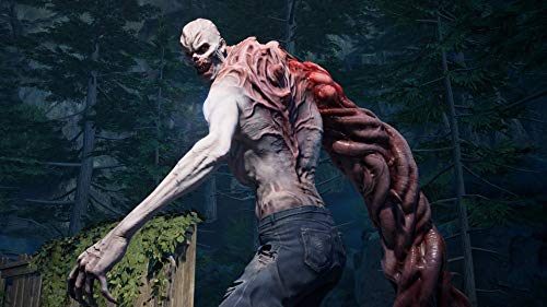 Amazon.com: Back 4 Blood - Xbox Series X : Whv Games: Everything Else