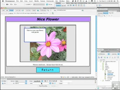 Amazon.com: Learning Dreamweaver CS5 Tutorial DVD - Training Video