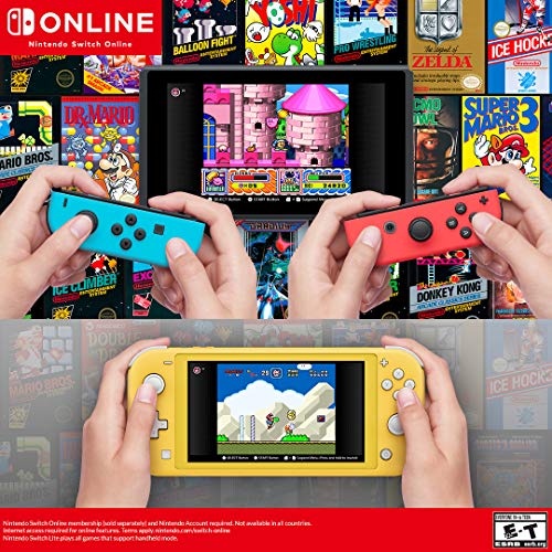 Amazon.com: Nintendo Switch Online 3-Month Individual Membership [Digital Code] : Everything Else