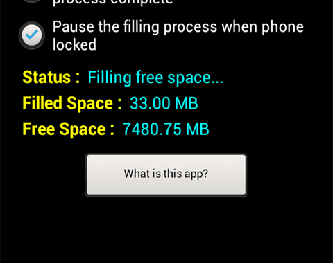 Forever Gone (Privacy Protector)